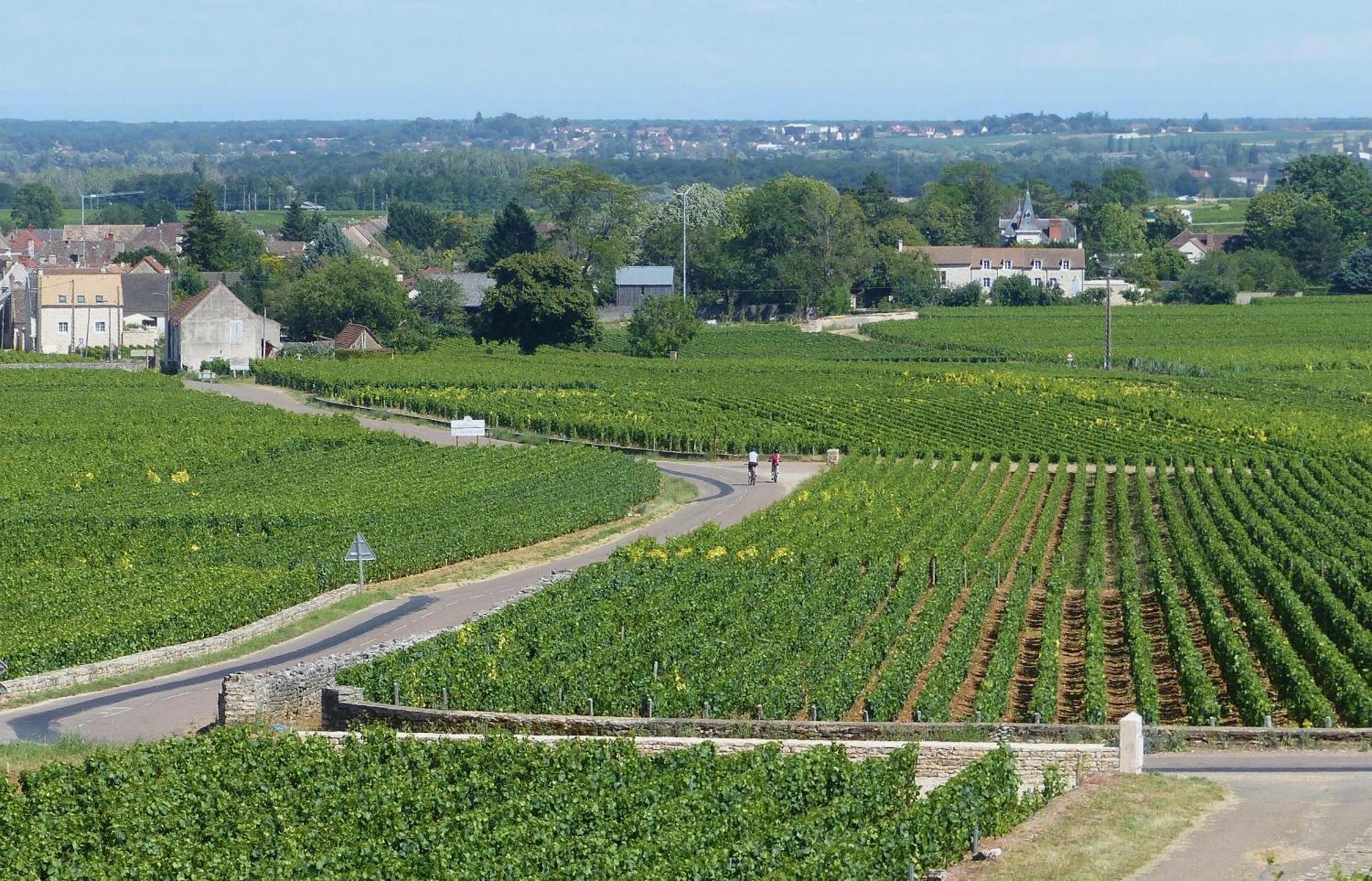 The Mews Apartment Puligny-Montrachet Exterior photo